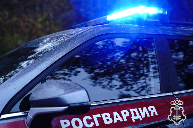 Белгородские росгвардейцы задержали гражданина, находившегося в оперативном розыске