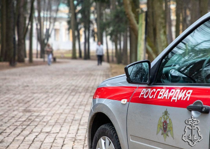 Росгвардейцы в центре Белгорода пресекли нарушение общественного порядка 