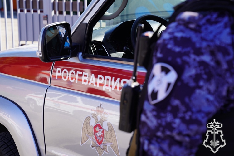 За прошедшую неделю белгородские Росгвардейцы задержали более 120 граждан за административные правонарушения