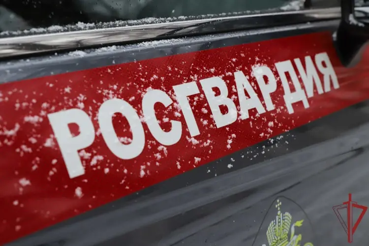 В Старом Осколе росгвардейцы по горячим следам задержали подозреваемых в краже сотового телефона