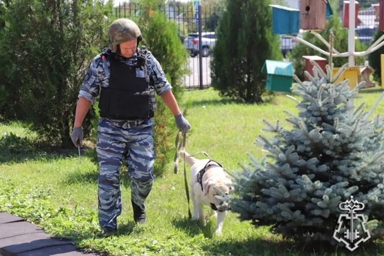 В Белгородском округе росгвардейцы отработали алгоритм действий в случае чрезвычайных ситуаций на избирательных участках